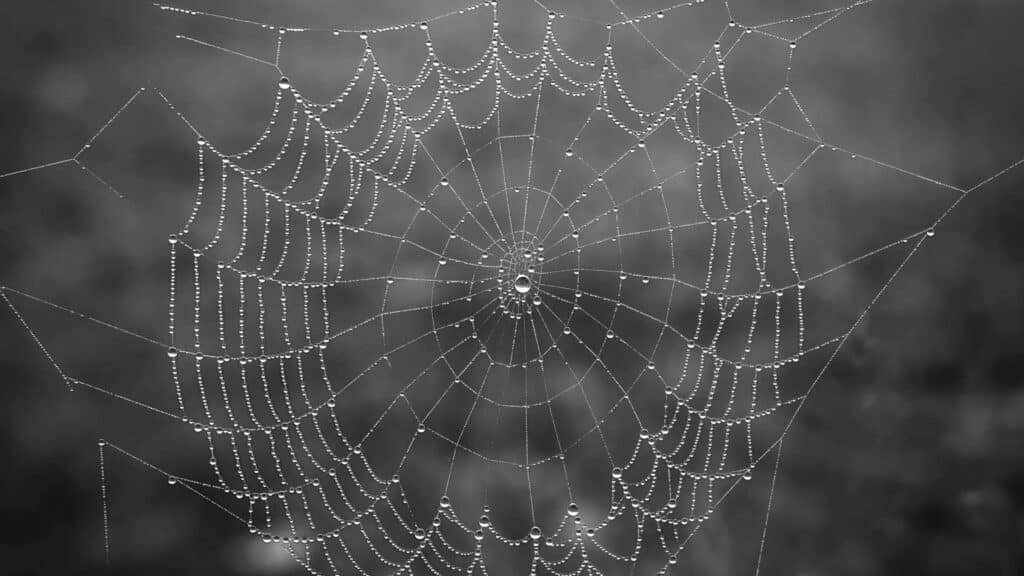 how to stay sober involves avoiding the pitfalls of sliding back into old habits