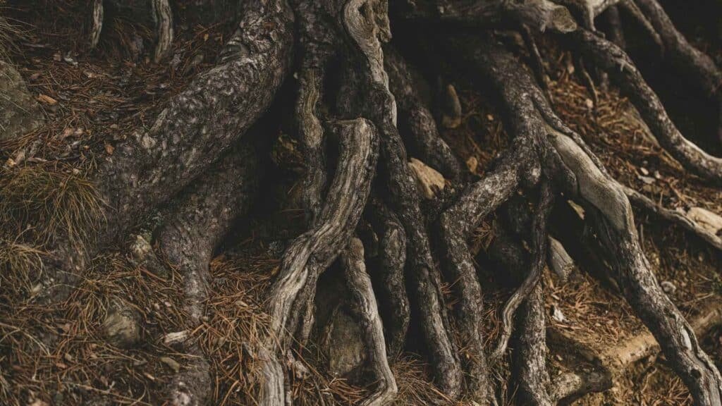 how to stop overthinking overcome the roots of the issue